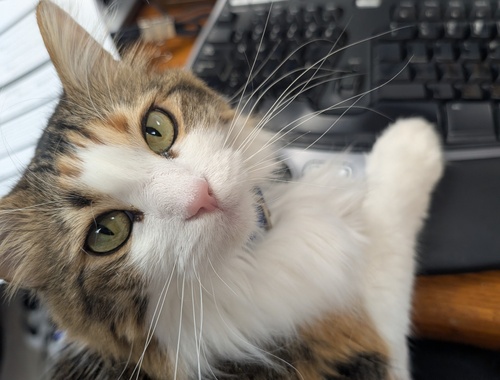 Welcome to Coleman / Quiner<br/>