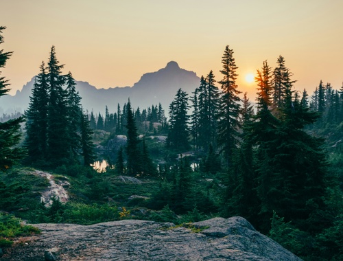 Strategic Asset Allocation and Risk Management