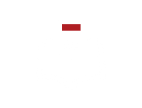Tax Minimization Techniques*