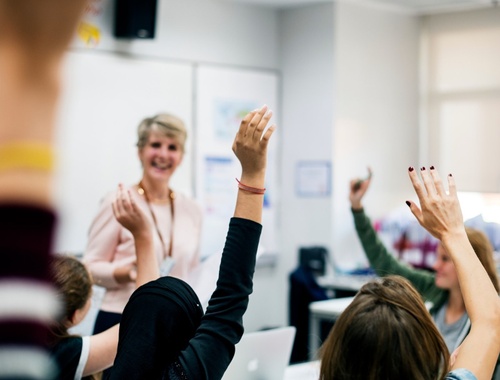 Teachers