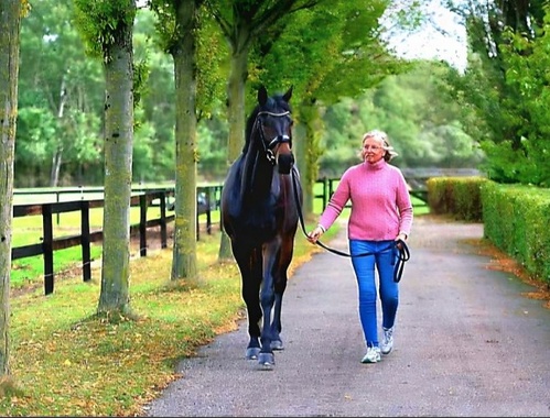 Enjoying Their Walk