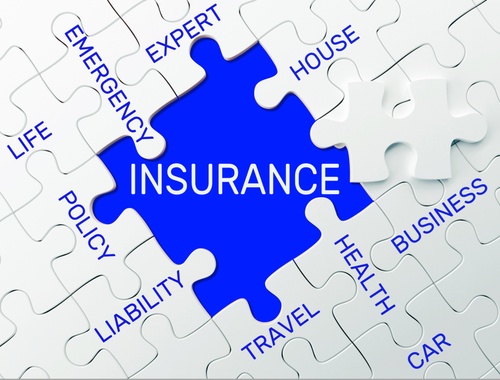 Supplemental Health Care Coverage