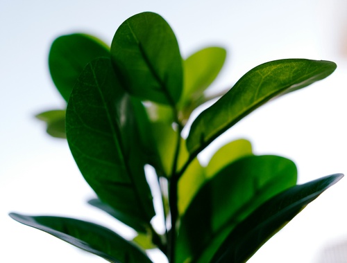 Guidance That Grows With You