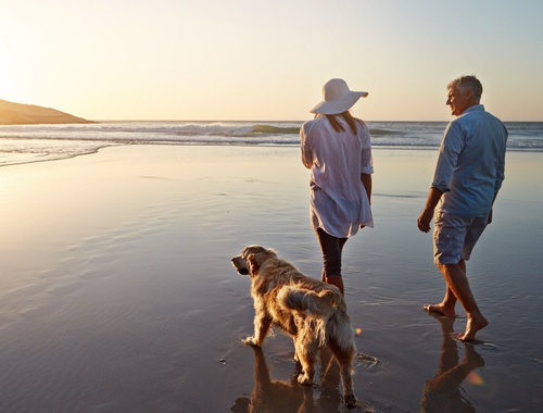 Our Proven Strategies Help You Reach Your Goals