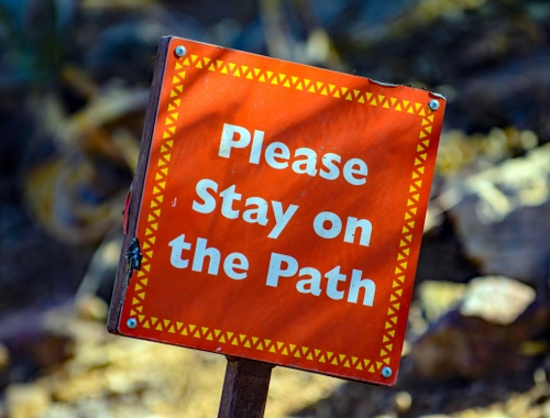 Understanding the Latest IRS RMD Regulations