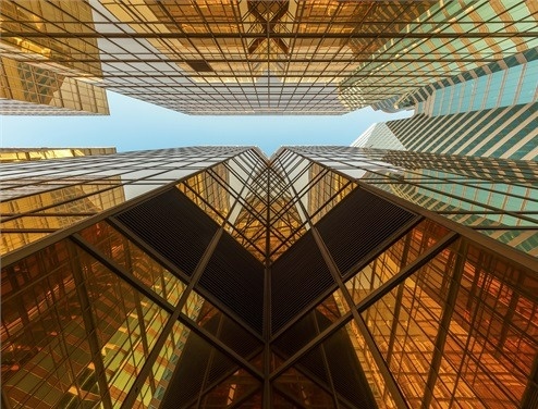 Perspective