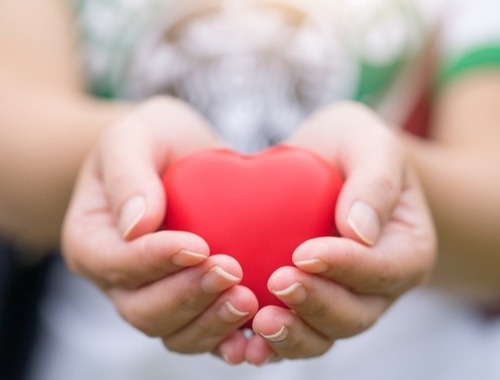 Charitable Giving/ Legacy Planning