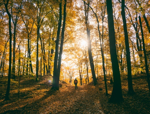 Before You Retire: Preparing for the Next Chapter