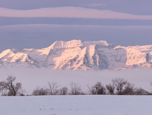 Winter – Simplifying and preserving