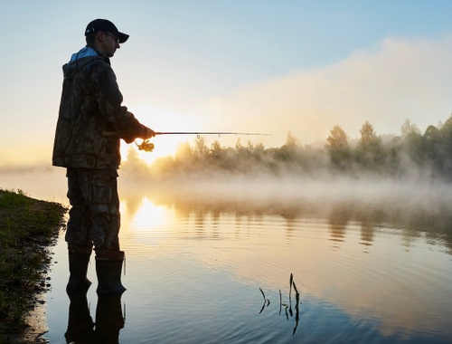 Guiding You to New Heights with Our Pioneering Spirit