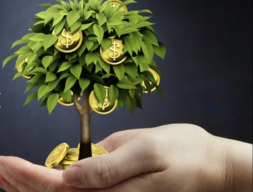 Wealth Management for individuals and businesses