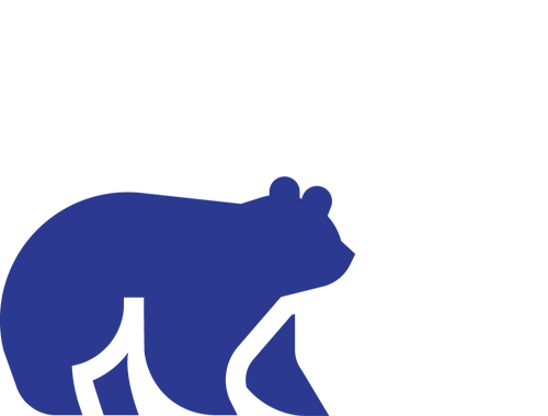 Ride Bulls, Plan for Bears