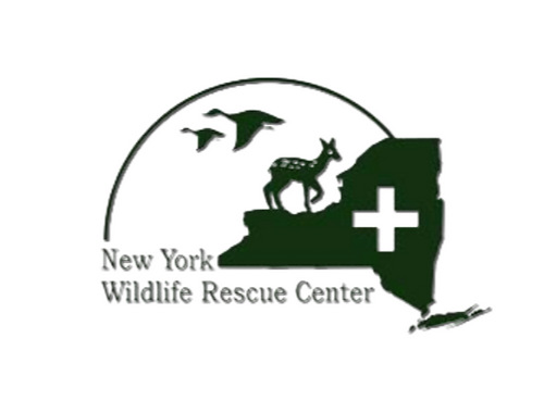 New York Wildlife Rescue Center