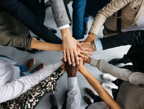 Grow With the Support of an Experienced Team
