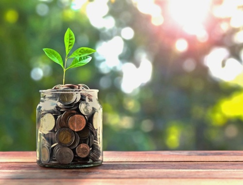 Investment Management