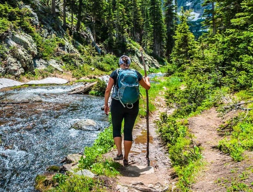 Individuals & Accumulators