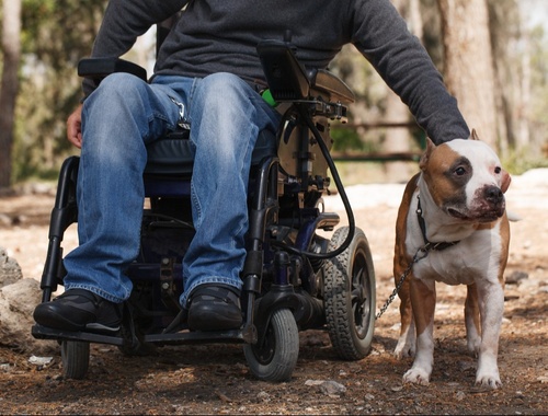 Types of Disabilities: A Clear Guide