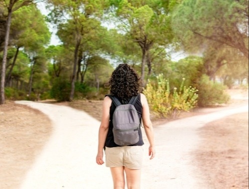 Choosing Your Path: Retire Now or Continue Working