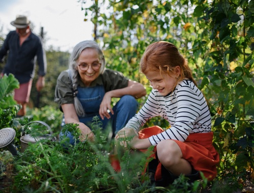 Estate Planning