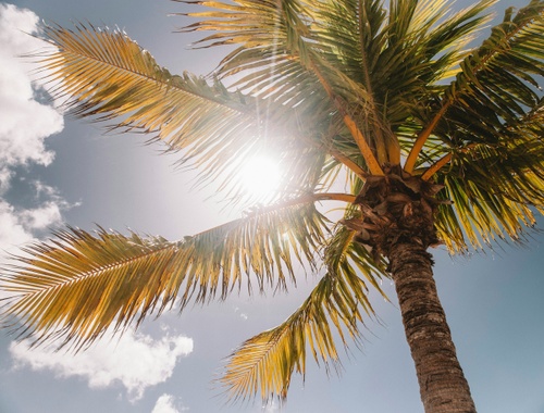 June Newsletter | Summer's here