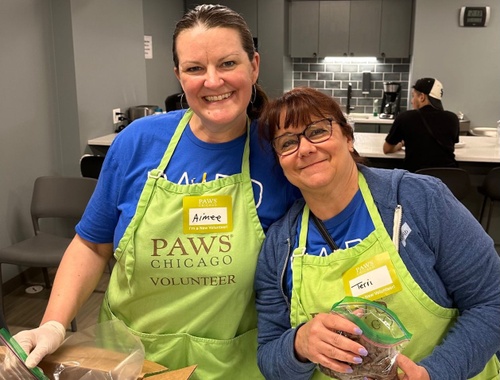 PAWS Chicago