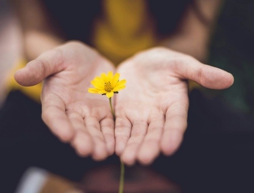 Charitable Giving/ Legacy Planning