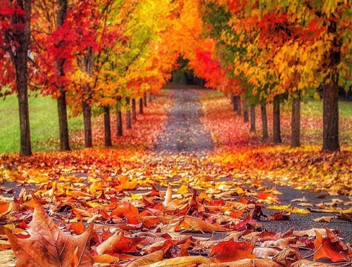 Autumn is here- time to fall into better                          coverage