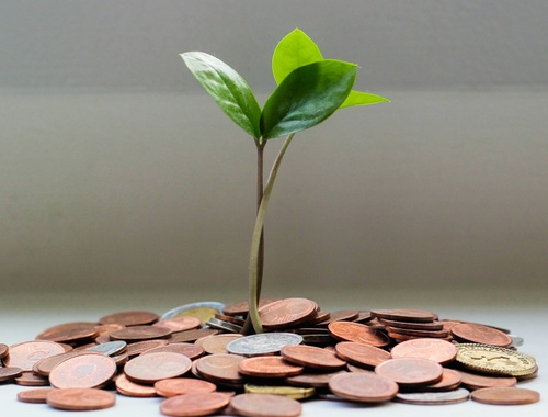 Financial Planning and Investment Management