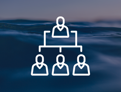 Review beneficiary designations
