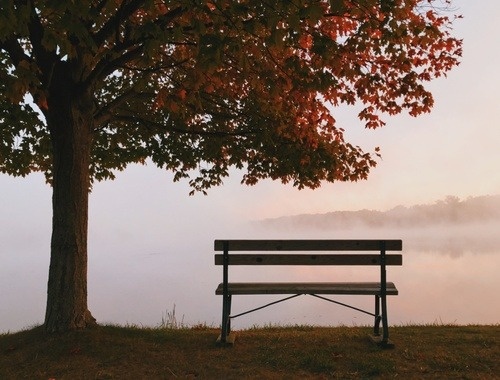 When a SNT Beneficiary Dies