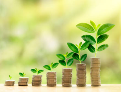 Investment & Portfolio Management