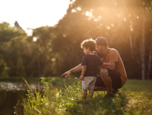 Estate Planning