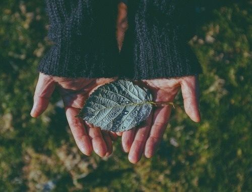 Balancing Philanthropy and Wealth Management