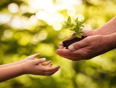 Leaving a Legacy of Charitable Giving for Your Children