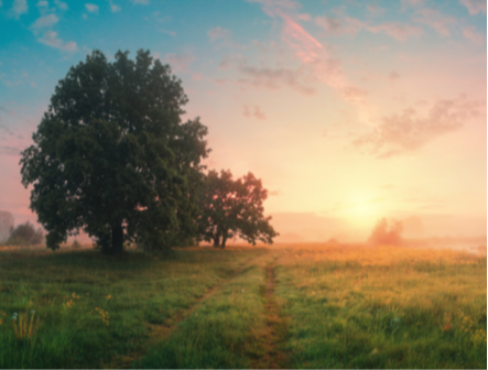 Monthly Newsletter for Business Owners<br/> 