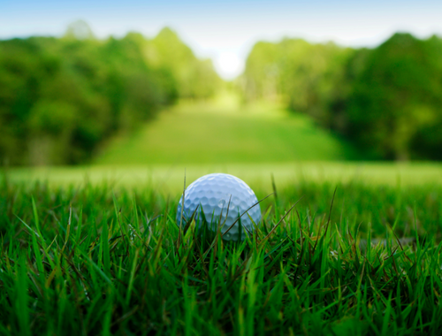 Become a Sponsor for Our Golf Tournament!