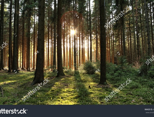 Strategic <br/>Planning & Financing<br/>