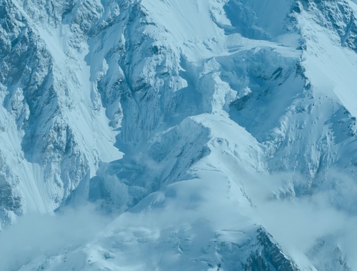 Preserving & Distributing