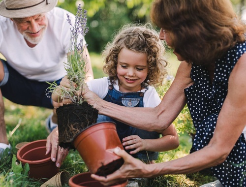 Pre-Retirees & Retirees: Build a Strong Foundation