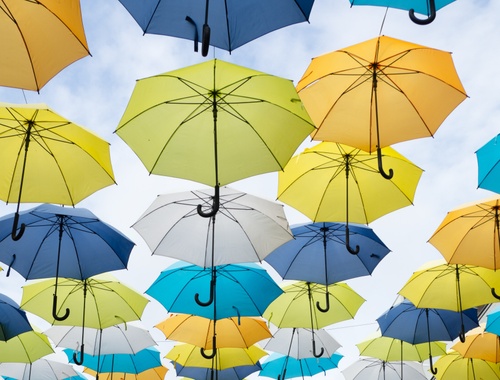 Insurance Planning