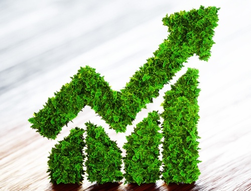 Values Based Investors 