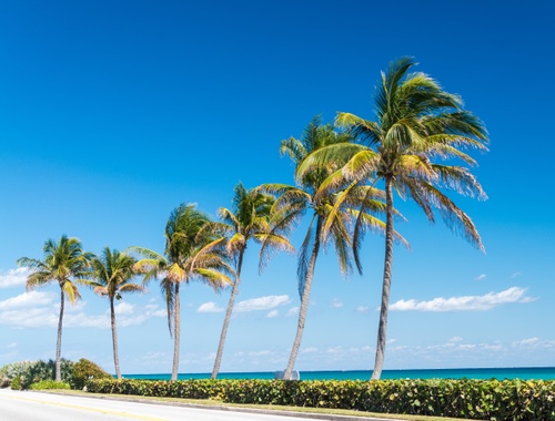 Your People. Your Plan. Our Priority.