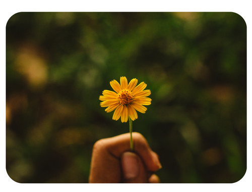 How to Protect Your Peace During Separation or Divorce