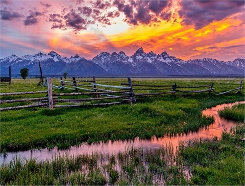 ROCKY MOUNTAIN
