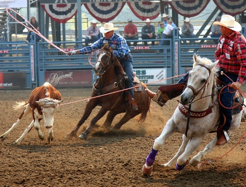 Lessons from Team Roping