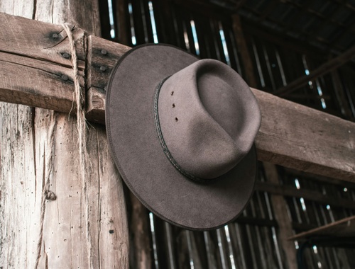 Private Screening of Indiana Jones and The Dial of Destiny