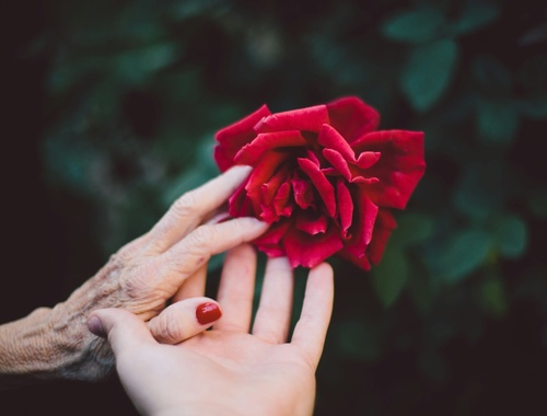 4 Steps to Ensure Your Parents’ Finances Are Secure