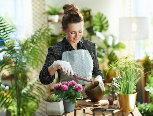 Small Business Owner Guidance