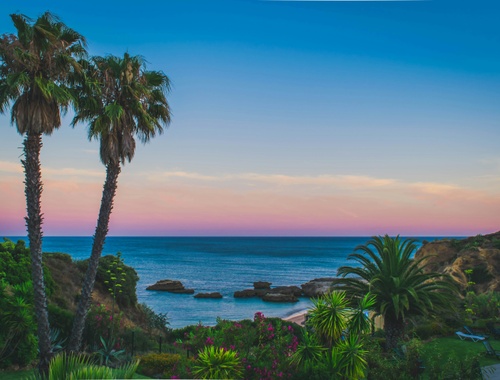 Tropical Destinations