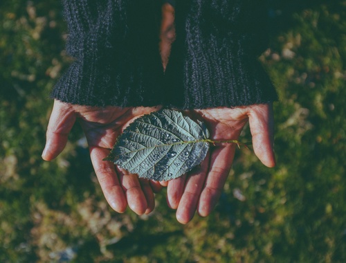 Balancing Philanthropy and Wealth Management